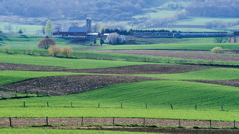 Seasonal Farms