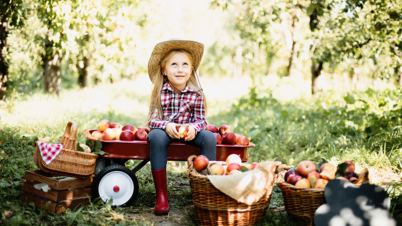 AAMODT'S APPLE ORCHARD