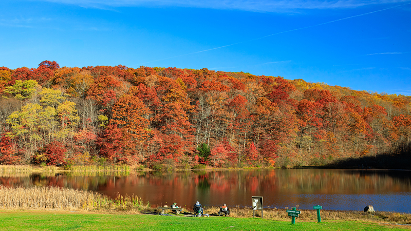 AFTON STATE PARK