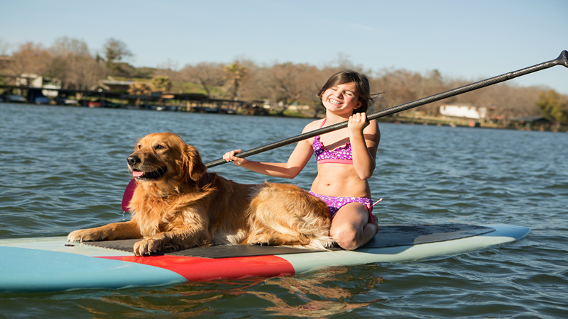 BROWN DOG PADDLEBOARD CO.